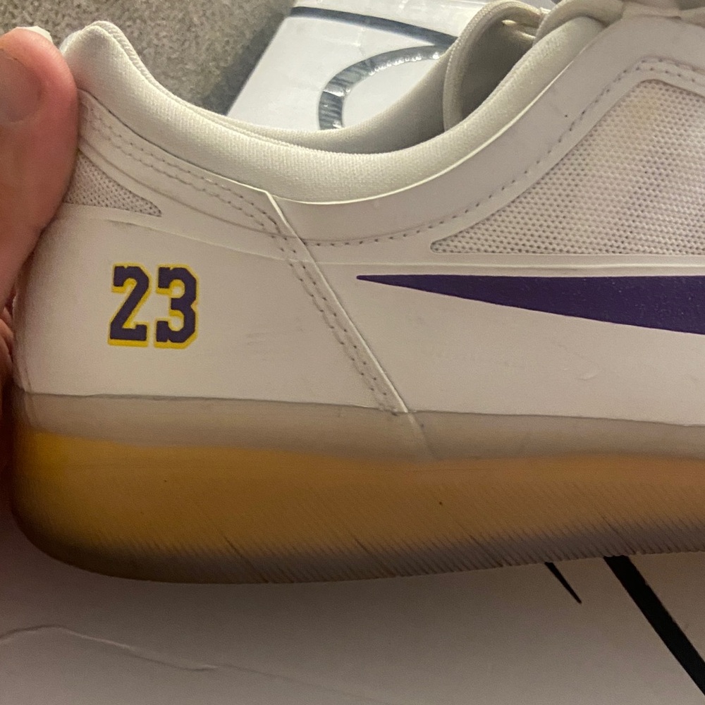 Nike SB  Lebron and Nyjah collab